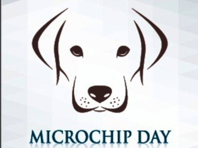 Microchip Day - 18/01/2023